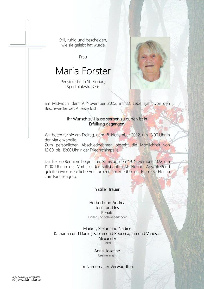 1001_forster_maria.jpeg