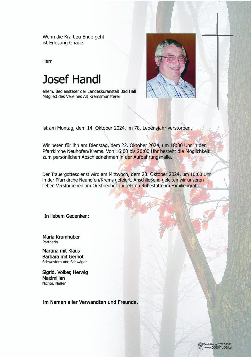 1339_handl_josef.jpeg