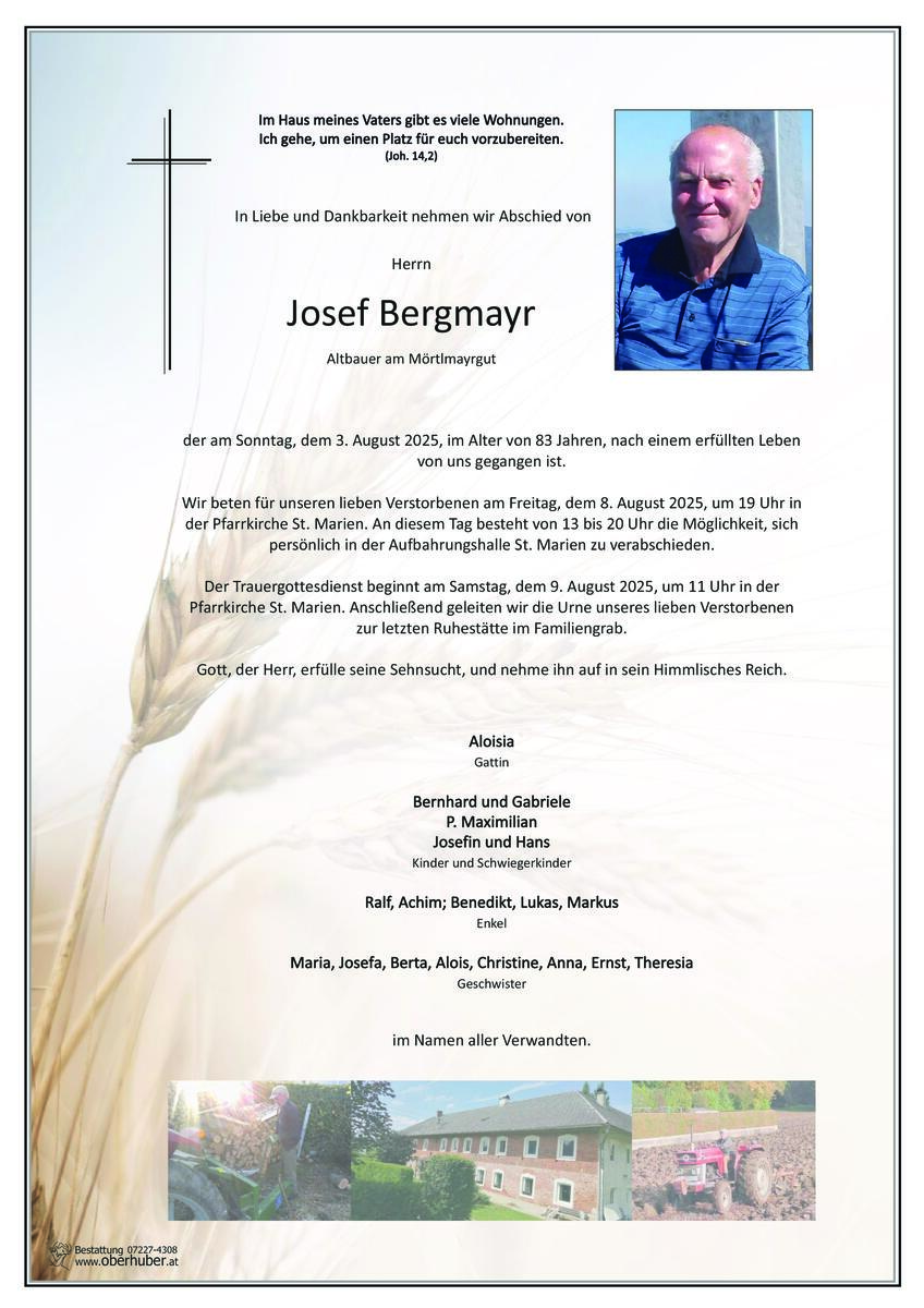 1464_bergmayr_josef.jpeg