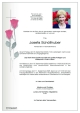 1480_sch__llhuber_josefa-80.jpeg