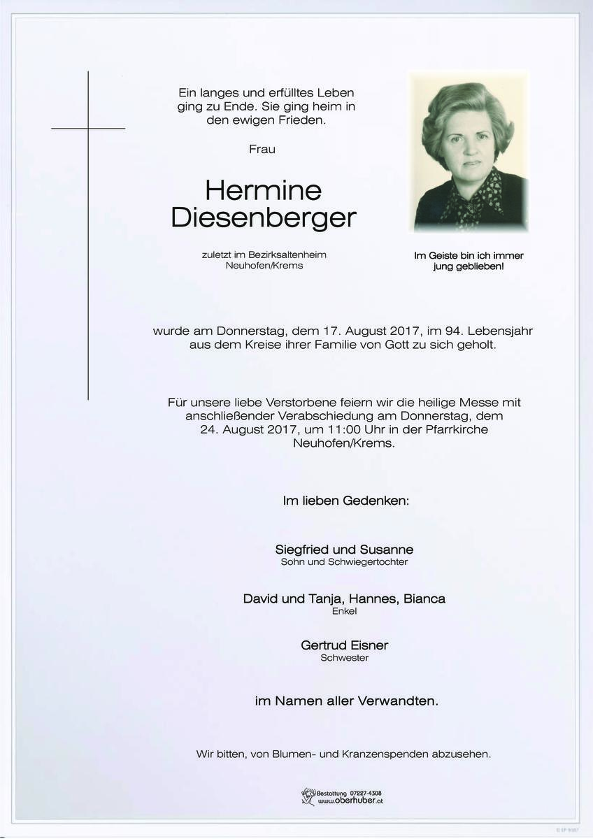 160_diesenberger_hermine.jpeg
