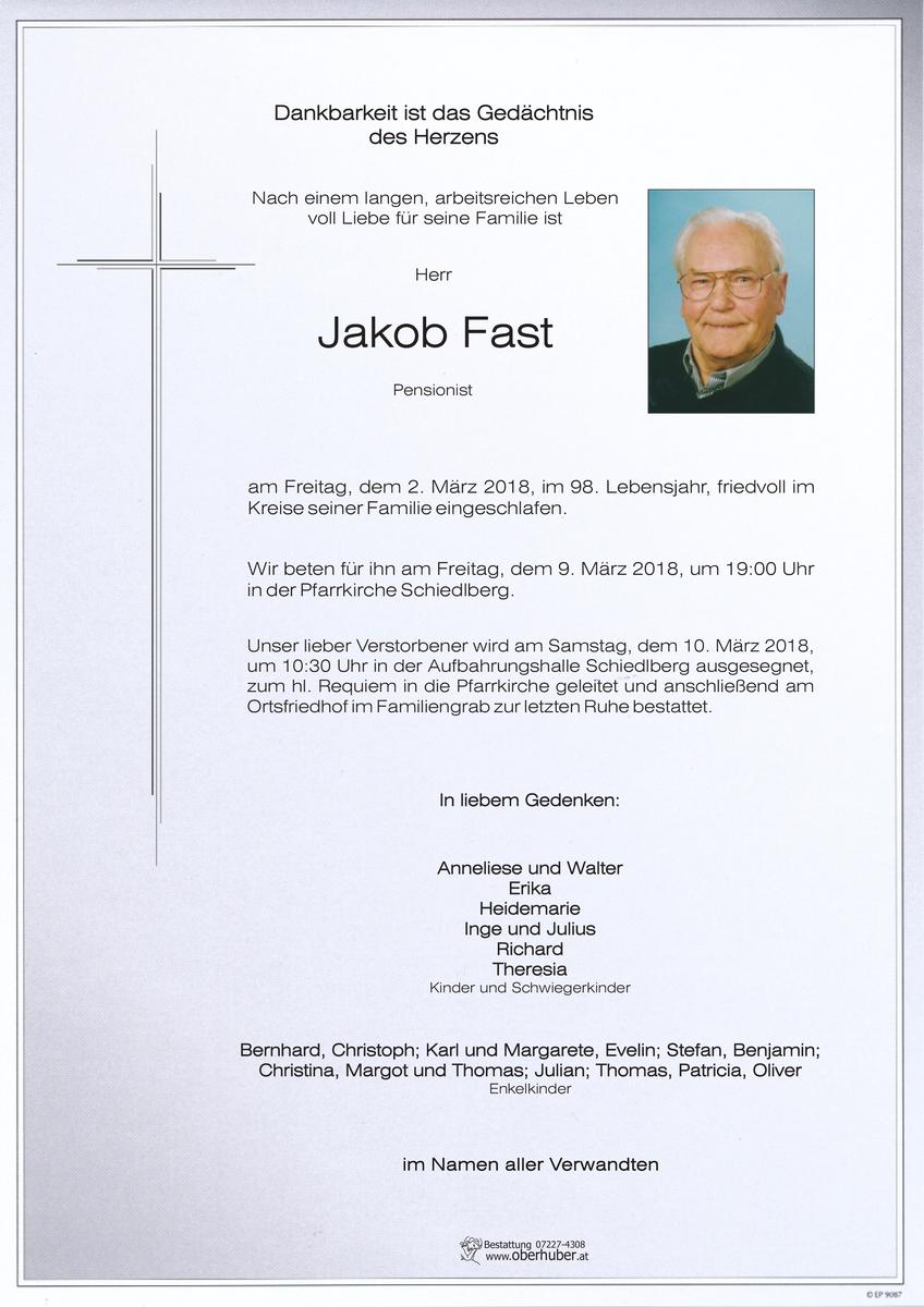 253_fast_jakob.jpeg