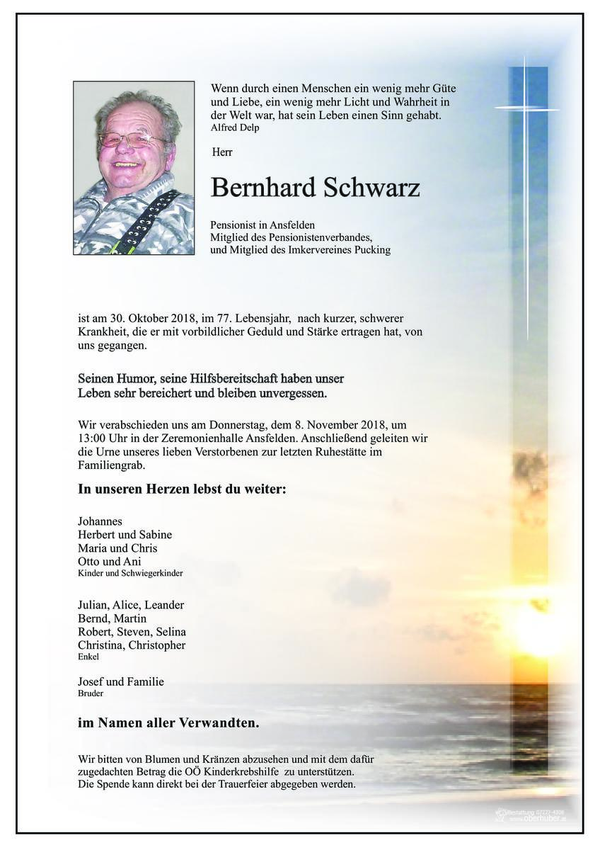 346_schwarz_bernhard.jpeg