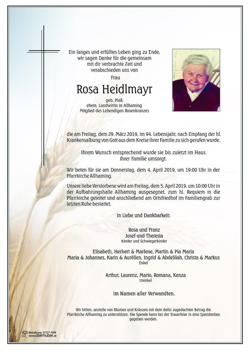 398_heidlmayr_rosa.jpeg