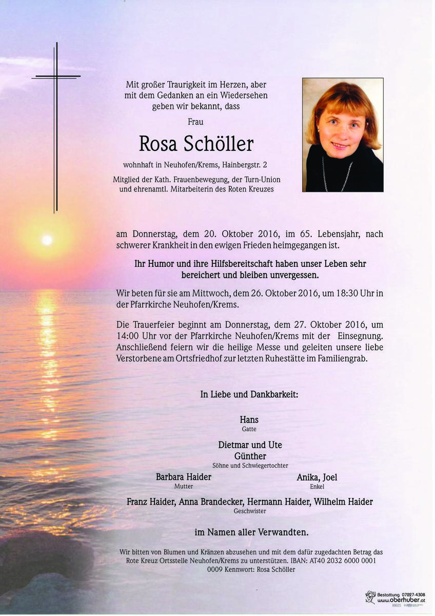 45_sch__ller_rosa.jpeg