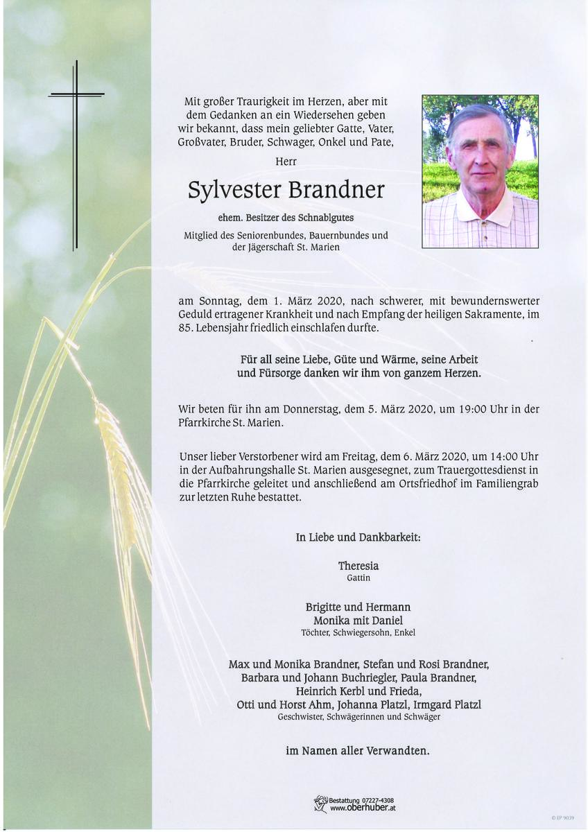 535_brandner_sylvester.jpeg