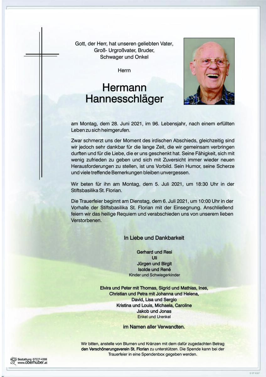 779_hannesschl__ger_hermann.jpeg