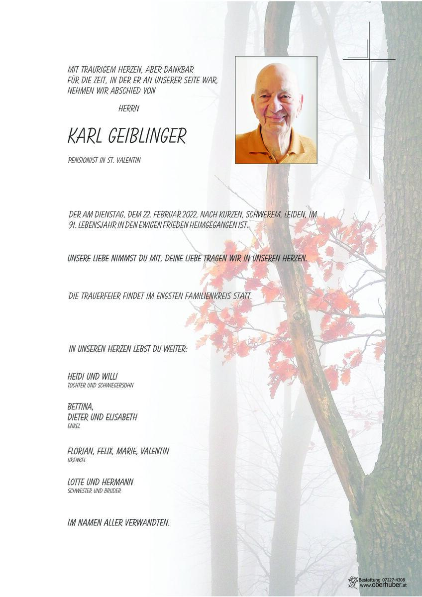 884_geiblinger_karl.jpeg